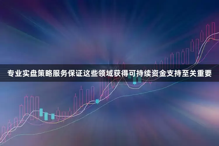 专业实盘策略服务保证这些领域获得可持续资金支持至关重要