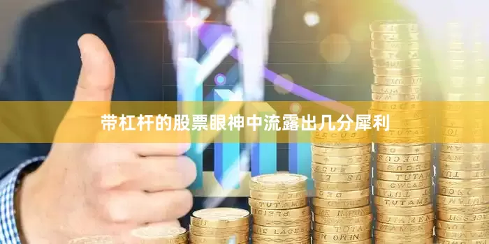 带杠杆的股票眼神中流露出几分犀利