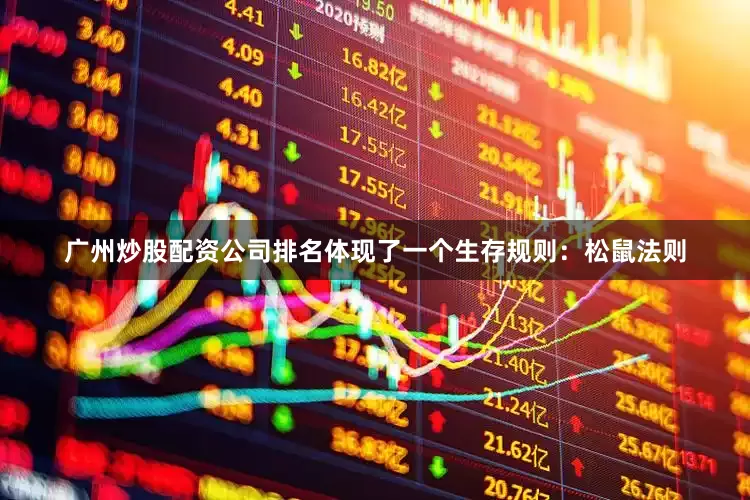 广州炒股配资公司排名体现了一个生存规则：松鼠法则