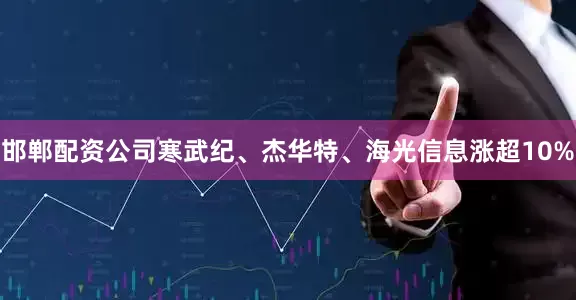 邯郸配资公司寒武纪、杰华特、海光信息涨超10%